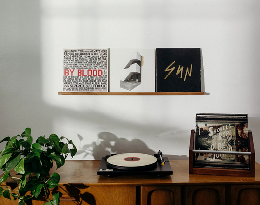 7 Best Ways to Store and Display Your Vinyl Records