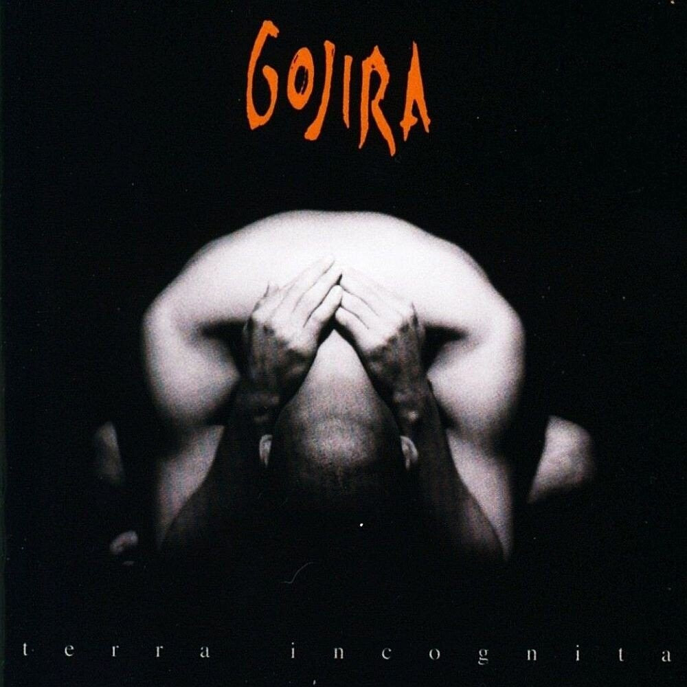 the album cover for Gojira - Terra Incognita