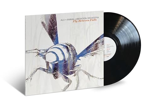 Fly Between Falls