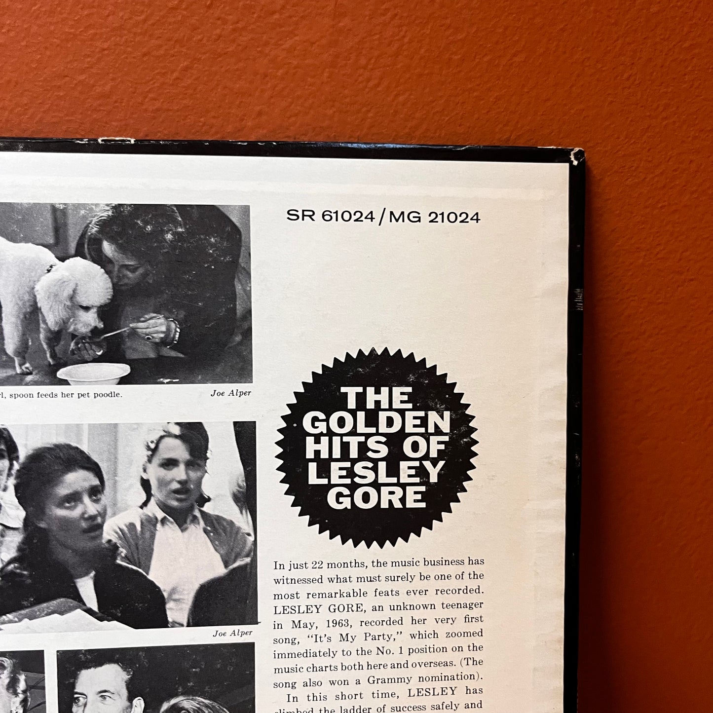 The Golden Hits of Lesley Gore Mercury STEREO SR-61024 Used VG Vinyl