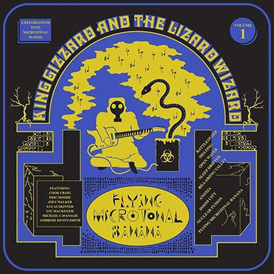 Flying Microtonal Banana - King Gizzard & The Lizard Wizard (Vinyl) (Lucky Rainbow Eco-Mix)