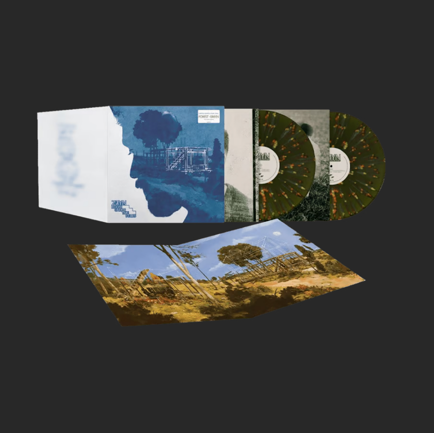 Room Under The Stairs - Parental Advisory Explicit Lyrics, Colored Vinyl, Green, Splatter - ZAYN