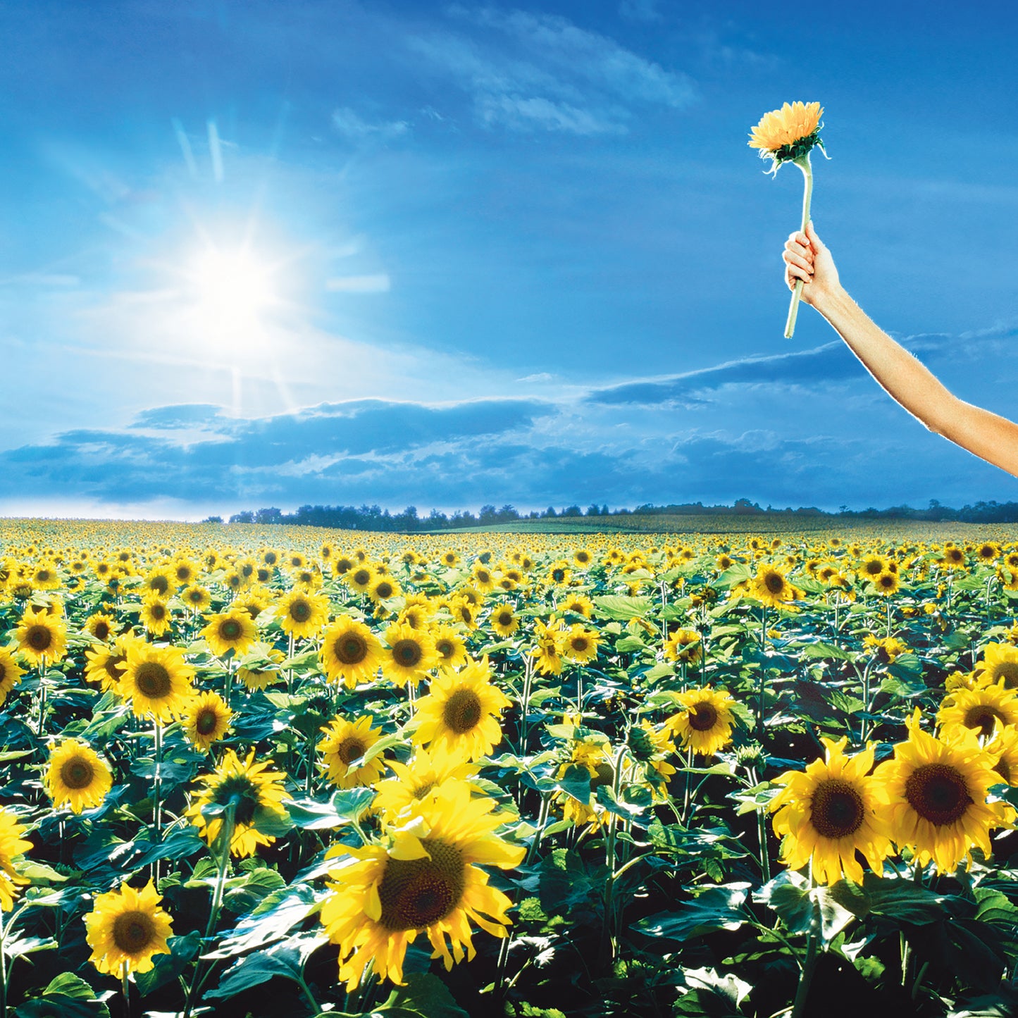 Thank You (ROCKTOBER) (Opaque Sky Blue Vinyl)