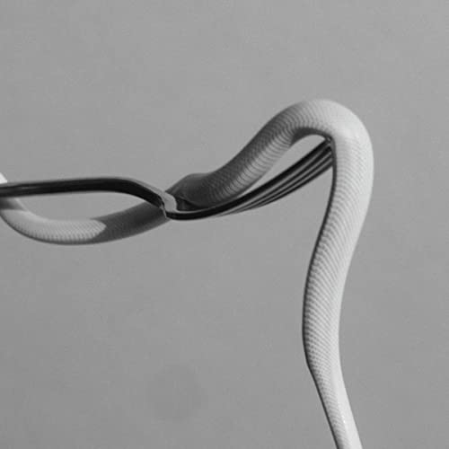 Parrhesia (Opaque Baby Pink)