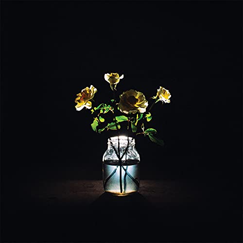 Renewal - Billy Strings (Vinyl)