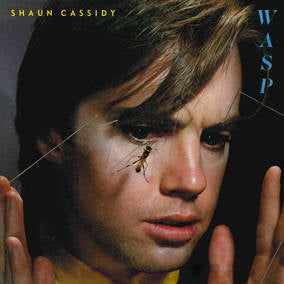 Wasp - Shaun Cassidy (Vinyl) (RSD Drops 2021)
