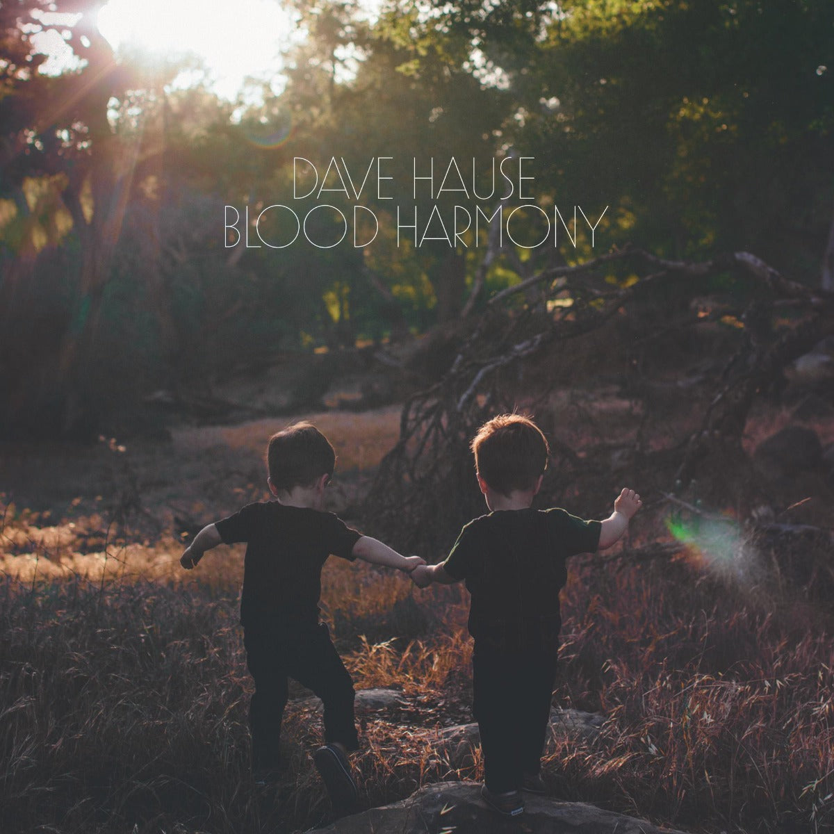 Blood Harmony (Colored Vinyl, White)