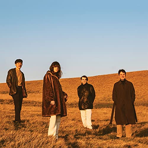 When You Walk Away - FUR (Vinyl)