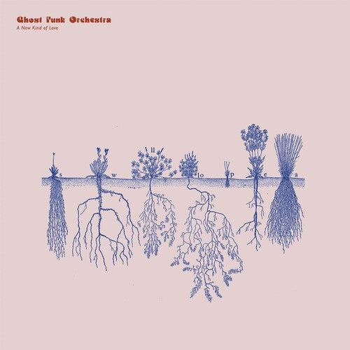 A New Kind Of Love (Transparent Clear Red Vinyl, Indie Exclusive)