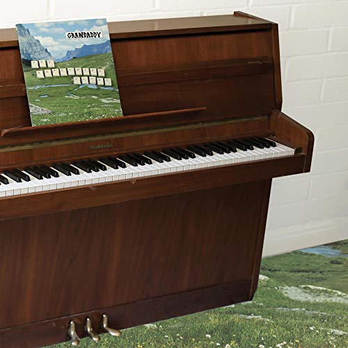 The Sophtware Slump.....On A Wooden Piano - Grandaddy (Vinyl)