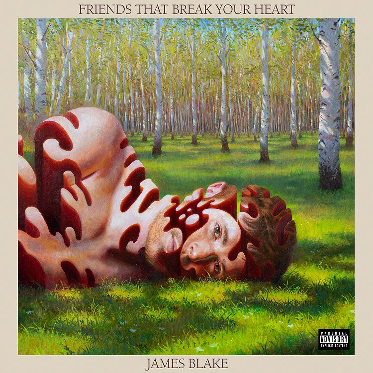 Friends That Break Your Heart - James Blake (Vinyl)