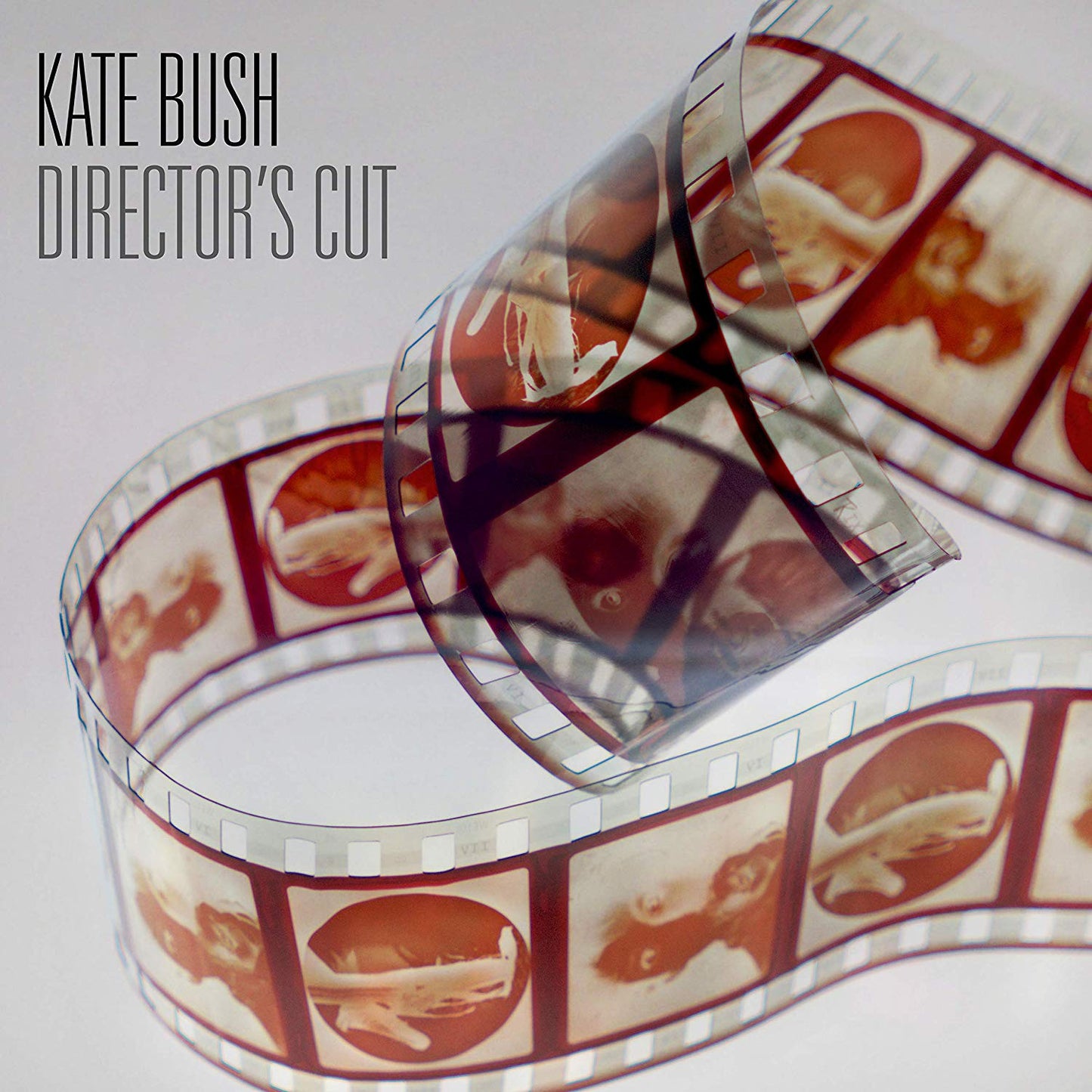 Director's Cut - Directors Cut (Vinyl)