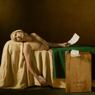 My Finest Work Yet - Andrew Bird (2 Vinyl) (Limited Edition Gold)
