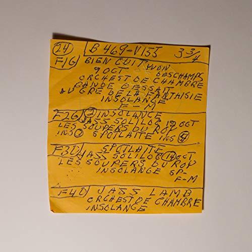 Here Comes The Cowboy Demos - Mac DeMarco (Vinyl)