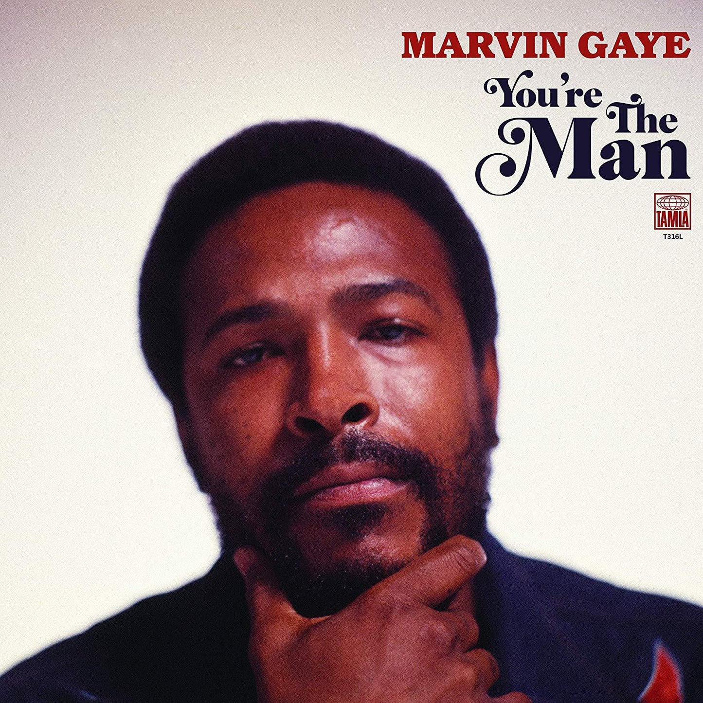 You're The Man - Marvin Gaye (Vinyl)