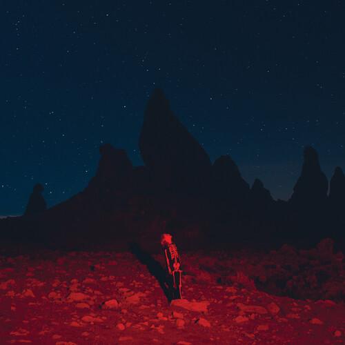 Punisher - Phoebe Bridgers Vinyl