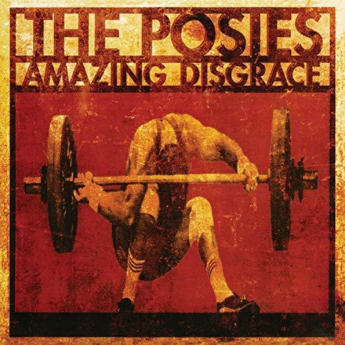 Amazing Disgrace - Posies (Vinyl)