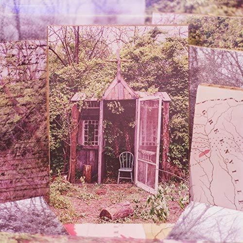 Carolina Confessions - The Marcus King Band (Vinyl)