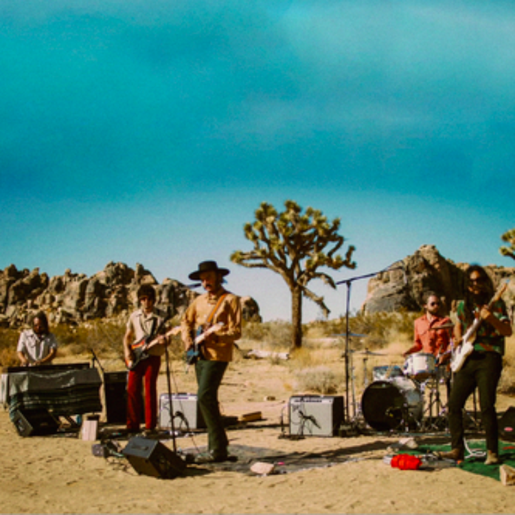 Levitation Sessions (Colored Vinyl, Indie Exclusive)