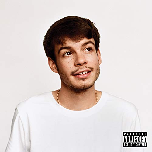 Pony - Rex Orange County Vinyl