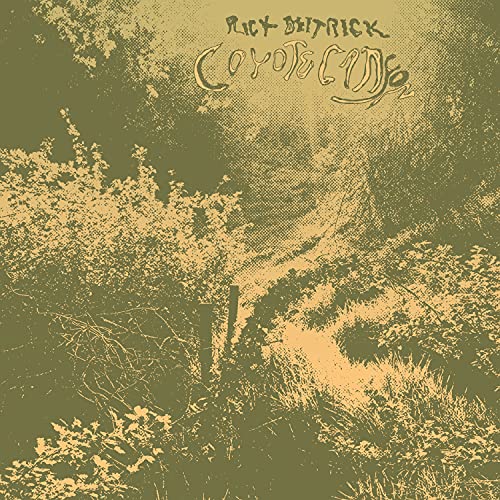 Coyote Canyon - Rick Deitrick (Vinyl)