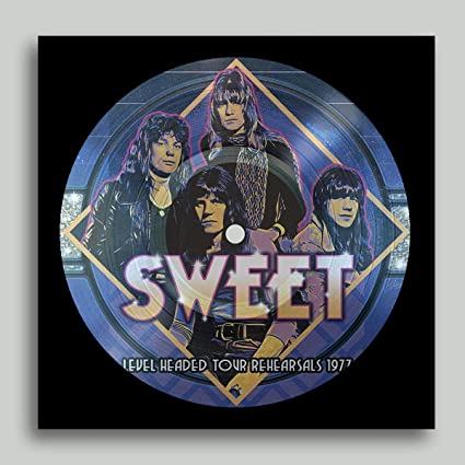 Level Headed Tour Rehearsals 1977 (Picture Disc Vinyl)