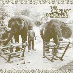 Thai Elephant Orchestra - Thai Elephant Orchestra (Vinyl) (RSD Drops 2021)