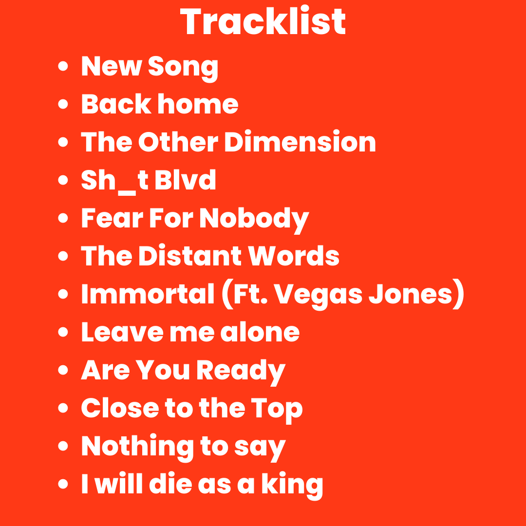 Il Ballo Della Vita - Måneskin Vinyl