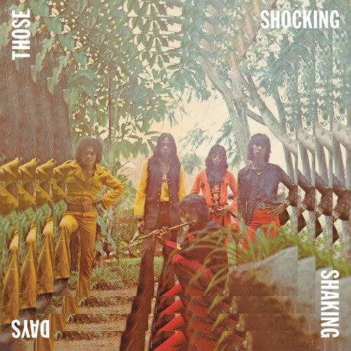 Those Shocking Shaking Days - Those Shocking Shaking Days (Vinyl)