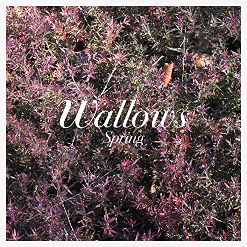 Spring - Wallows Vinyl