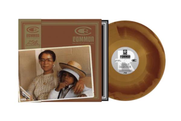 One Day It'll All Make Sense (Caramel Swirl Vinyl) (25th Anniversary Edition) (2 Lp's)