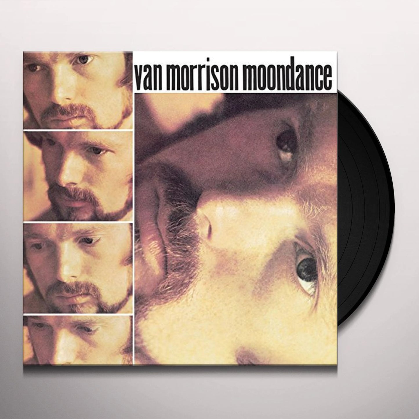 Moondance - Van Morrison Vinyl