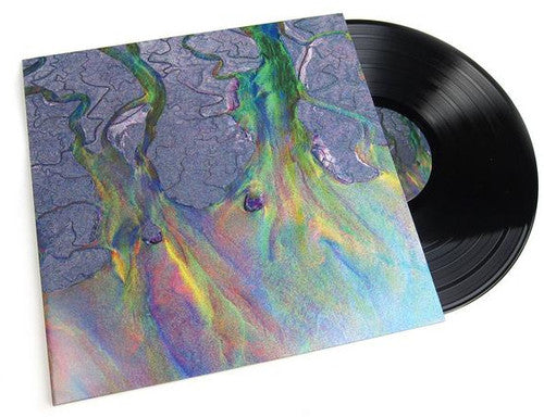 An Awesome Wave alt-J Vinyl