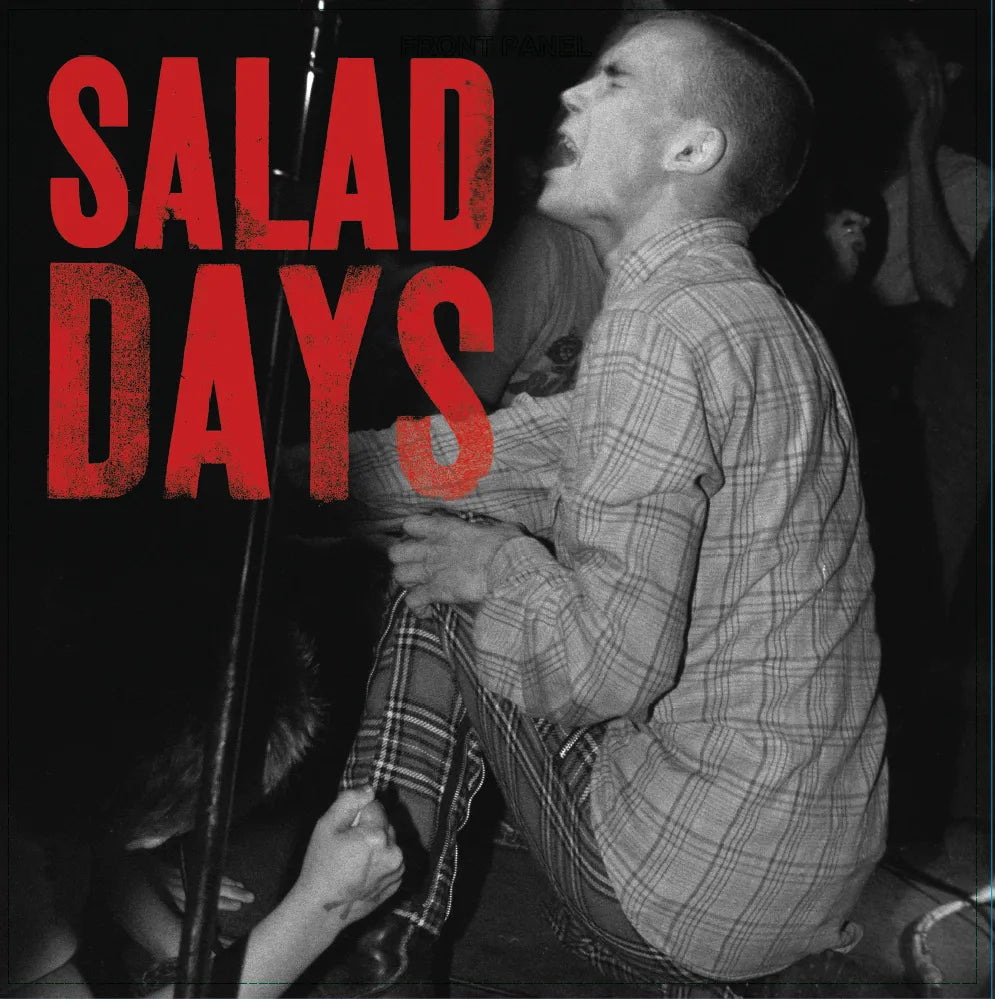 SALAD DAYS: MUSIC FROM THE DOCUMENTARY FILM / VAR - SALAD DAYS: MUSIC FROM THE DOCUMENTARY FILM / VAR