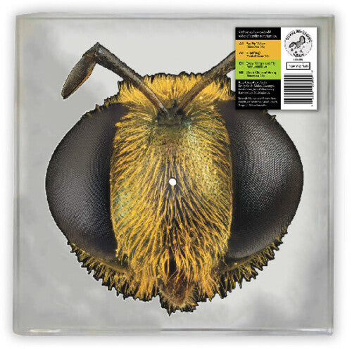 KING GIZZARD & THE LIZARD WIZARD - BIG FIG WASP (RSD)