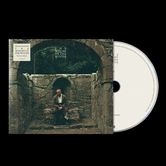 the album cover for Dermot Kennedy - The Weight of the Woods