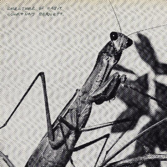 the album cover for Courtney Barnett - Creature of Habit