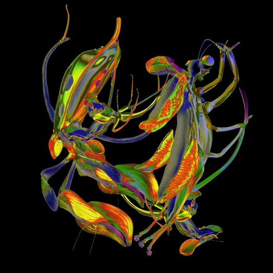 the album cover for DJ Nobu - Sho