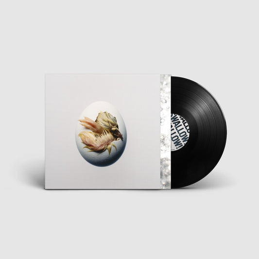 the album cover for Shygirl - SWALLOW! [Black]
