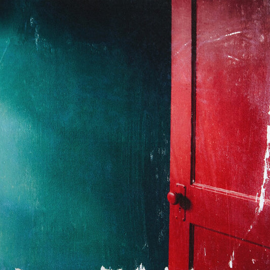 the album cover for Fine Food Market - Alas Time Has Passed [Colored Vinyl] (Red)