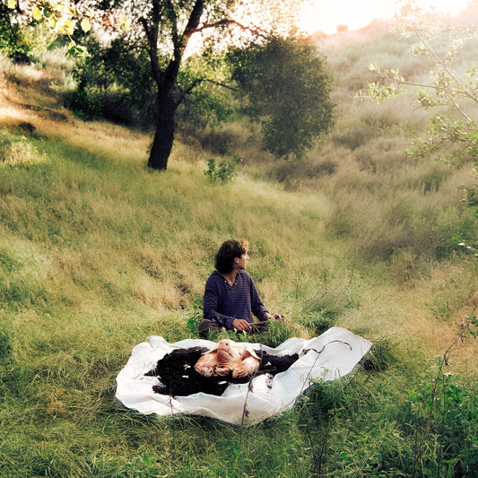 the album cover for Lane Hartley - No Home