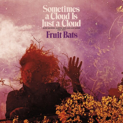 Sometimes a Cloud Is Just a Cloud: Slow Growers, Sleeper Hits and Lost Songs (2001–2021) (Colored Vinyl, Pink, Violet, Gatefold LP Jacket, Digital Download Card) (2 Lp's)