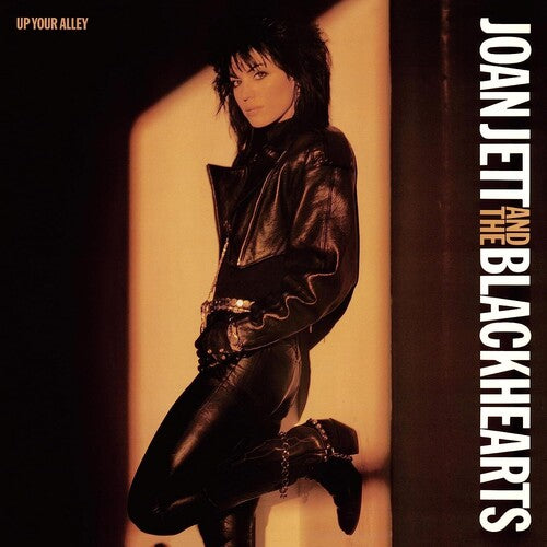Up Your Alley (140 Gram Vinyl)