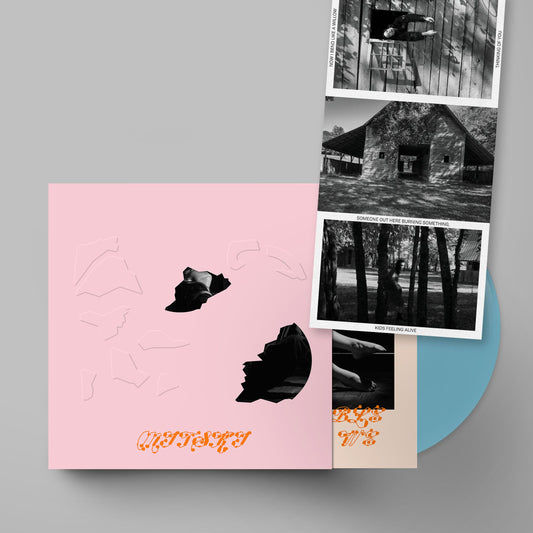 The Land Is Inhospitable and So Are We (Indie Exclusive w/ Baby Pink Slipcase)' (Robin Egg Blue Vinyl LP)