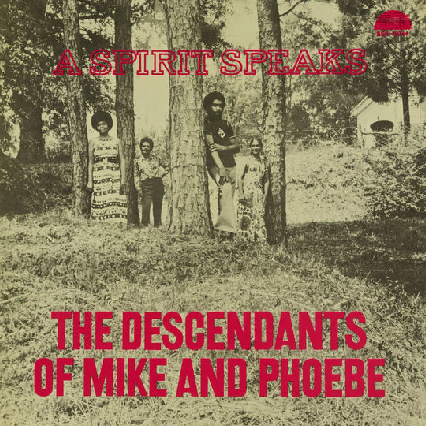 Bill Lee — The Descendants of Mike and Phoebe - A Spirit Speaks (DELUXE EDITION) (Vinyl LP) - RSD Black Friday 2025