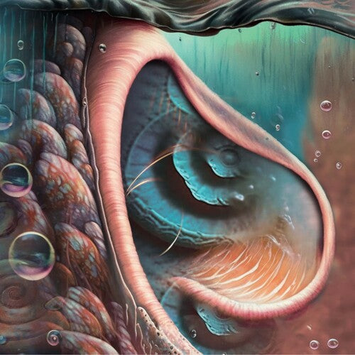 Meddle Reimagined: A Tribute To Pink Floyd (Colored Vinyl)