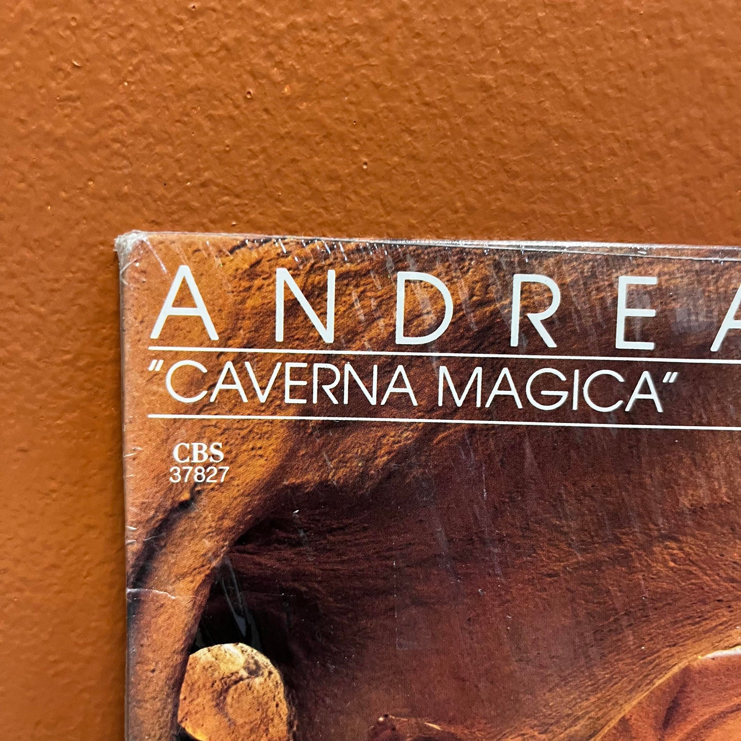 "Caverna Magica" (Under The Tree - In The Cave) Andreas VollenWeider Vinyl CBS 37827