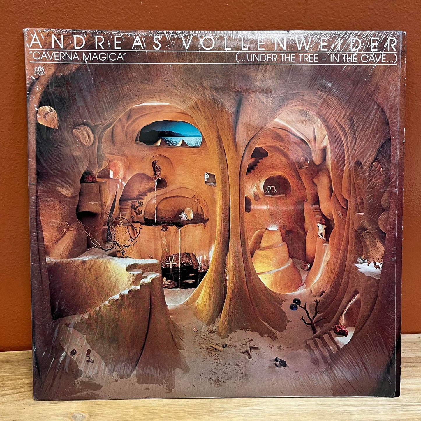 "Caverna Magica" (Under The Tree - In The Cave) Andreas VollenWeider Vinyl CBS 37827