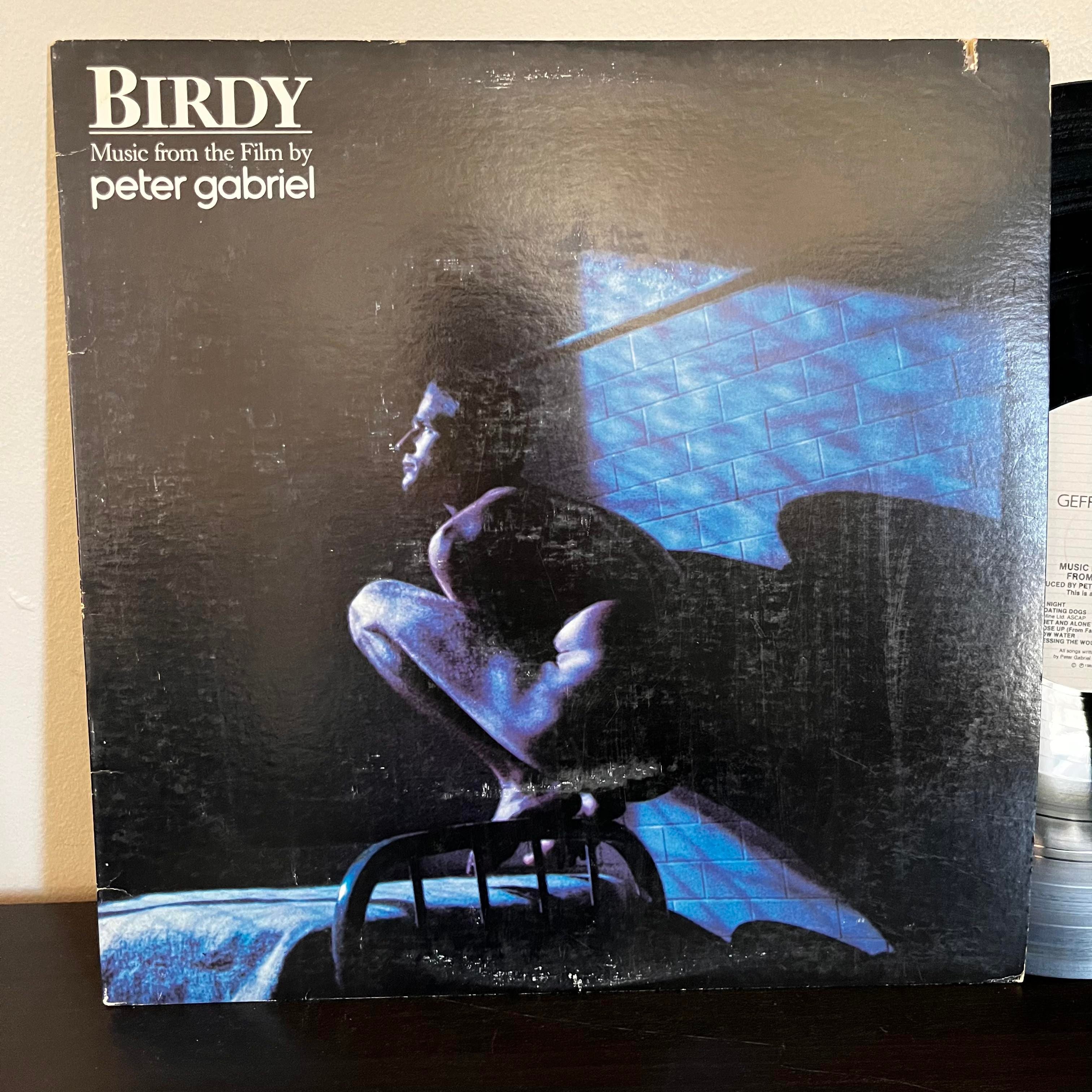 Birdy - Music from the Film by Peter Gabriel GHS-24070 VG+/EX – Provo's  Vintage Groove