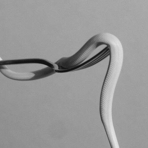 Parrhesia (Neon Orange) [INDIE EX]